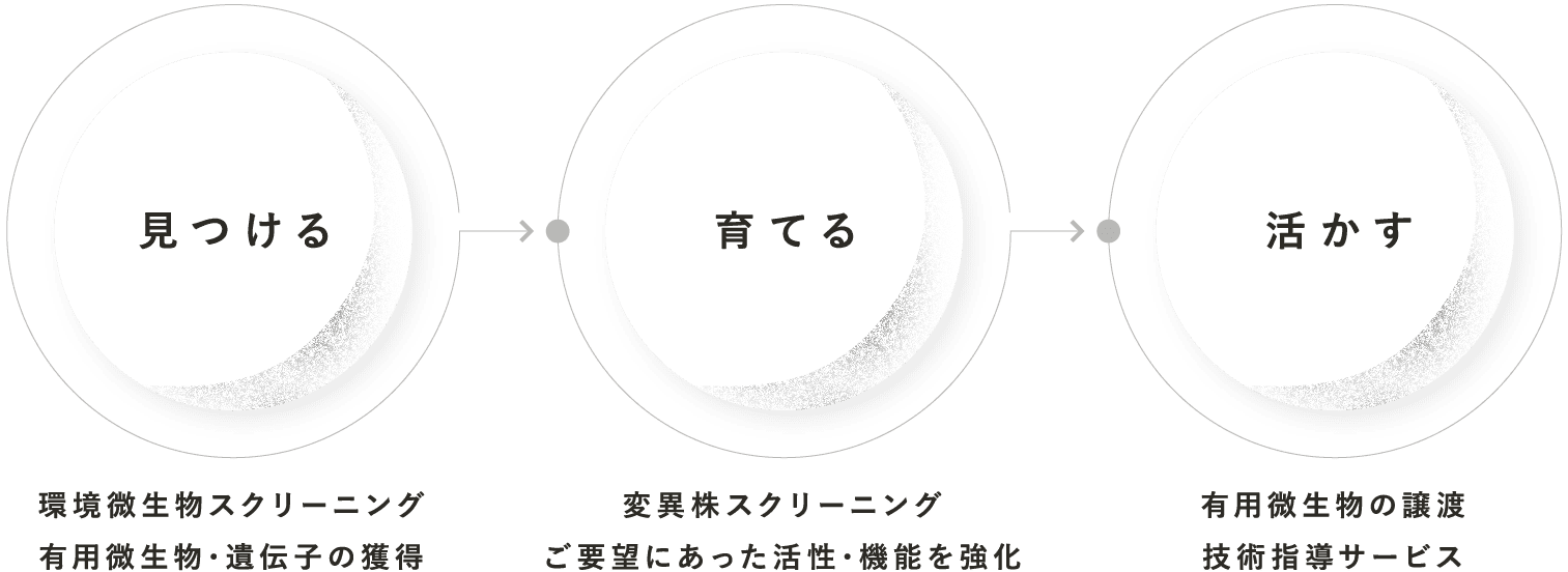 見つける・育てる・活かす