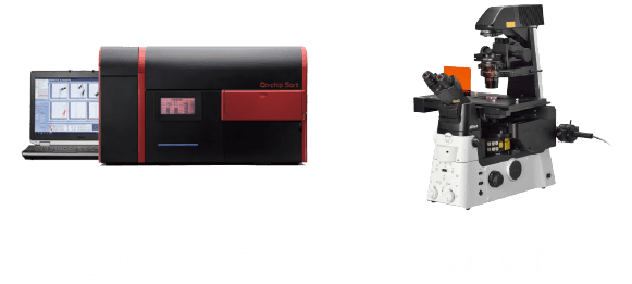 セルソーター、顕微鏡